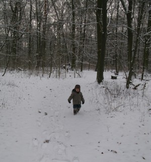 img_3109 img_3109