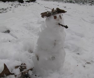 img_3118 img_3118