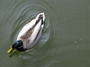 img_4238