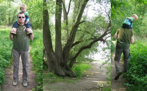 img_4730 img_4730