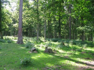 img_5079 img_5079