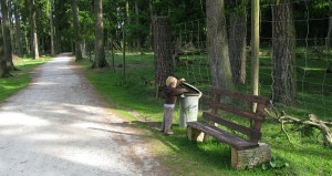 img_5086 img_5086