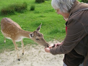 img_5104 img_5104
