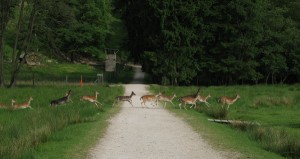 img_5112 img_5112
