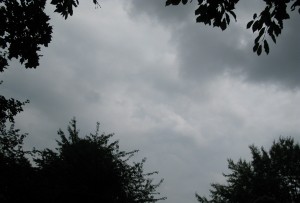 img_5601