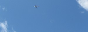 img_5917 img_5917
