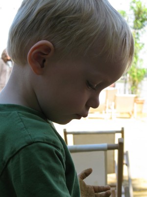 img_5923 img_5923