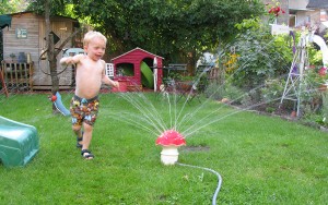 img_6026 img_6026