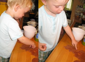 img_6035 img_6035