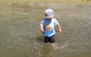 img_6904 img_6904