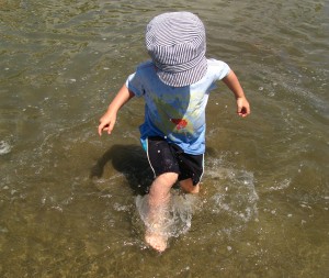 img_6905 img_6905
