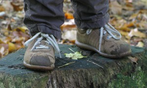 IMG_7530