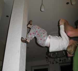 IMG_7587 IMG_7587