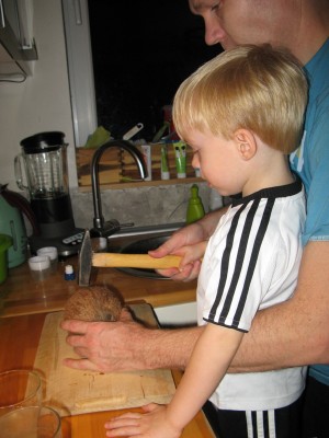 IMG_7669 IMG_7669