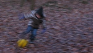 IMG_8149 IMG_8149