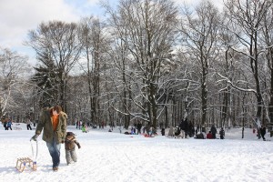 IMG_3142 IMG_3142