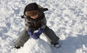 IMG_3160 IMG_3160