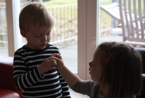 IMG_3768 IMG_3768
