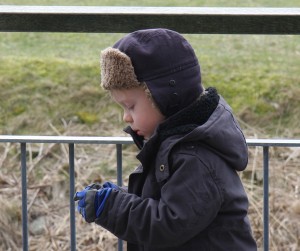 IMG_3795 IMG_3795