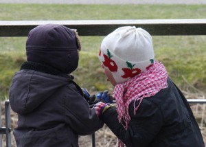 IMG_3797 IMG_3797