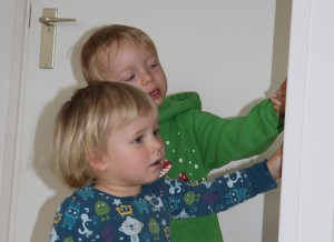 IMG_3818 IMG_3818