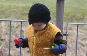 IMG_3862 IMG_3862