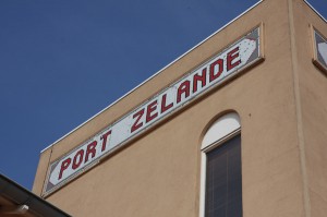 IMG_3917 IMG_3917