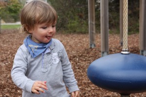 IMG_3927 IMG_3927