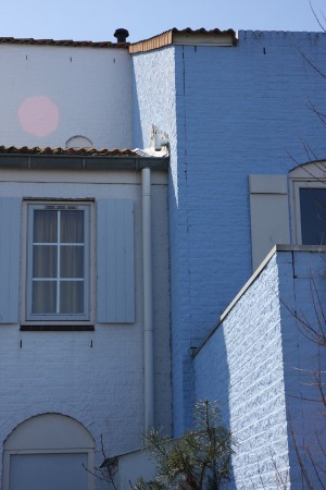 IMG_3950 IMG_3950