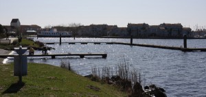 IMG_3979 IMG_3979