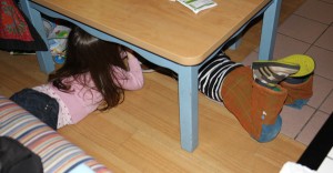 IMG_4008 IMG_4008