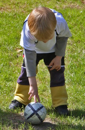IMG_4156 IMG_4156