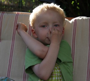 IMG_4600 IMG_4600