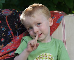 IMG_4645 IMG_4645