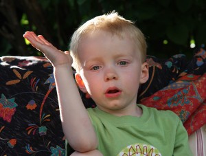 IMG_4661 IMG_4661