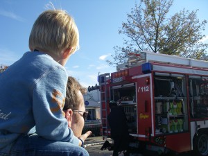 IMGP0352