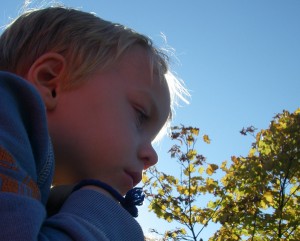 IMGP0360