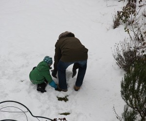 IMG_7260_1