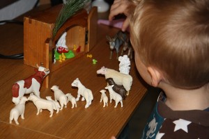 IMG_7293