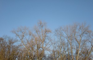 CIMG0274