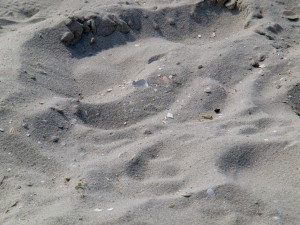 CIMG0678