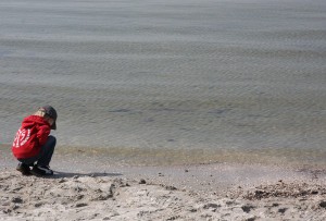 IMG_8392
