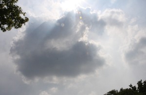 IMG_9209
