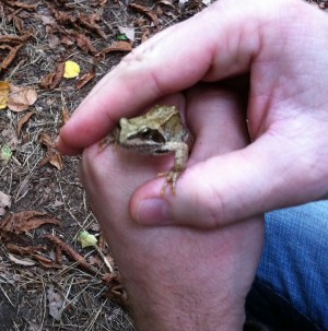 Foto3