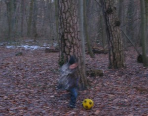 IMG_8147